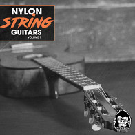 Nylon String Guitars Vol 1 product image
