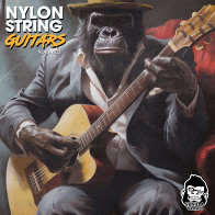 Nylon String Guitars Vol 2 product image