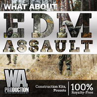 What About: EDM Assault product image