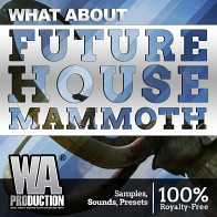 What About: Future House Mammoth product image