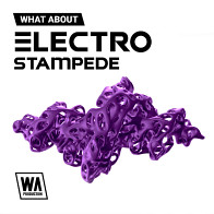 What About: Electro Stampede product image
