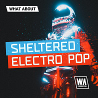 What About: Sheltered Electro Pop product image