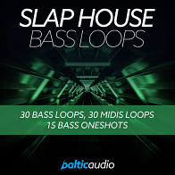 Slap House Bass Loops product image