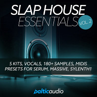 Slap House Essentials Vol 2 product image