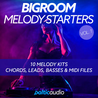 Bigroom Melody Starters Vol 1 product image