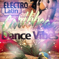 Electro Latin - Caribbean Dance Vibes product image