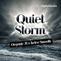 Quiet Storm product image