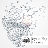 Synth Hop Dreams product image