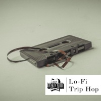 Lo-Fi Trip Hop product image