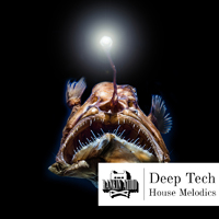 Deep Tech House Melodics product image
