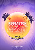 Reggaeton Heat: Spicy Construction Kits product image
