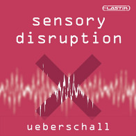 Sensory Disruption product image