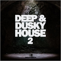 Deep & Dusky House 2 product image