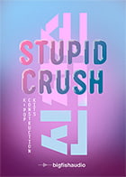Stupid Crush: K-Pop Construction Kits product image