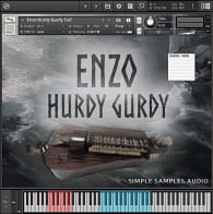 Enzo Puzzovio Hurdy Gurdy product image