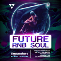 Future RnB Soul product image