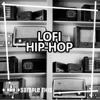 Lofi Hip-Hop product image