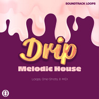 Drip Melodic House product image