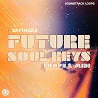 Future Soul Keys product image