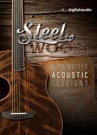 Steel & Wood: Songwriter Acoustic Sessions product image