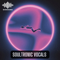 Soultronic Vocals product image