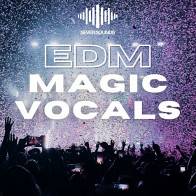 EDM Magic Vocals product image