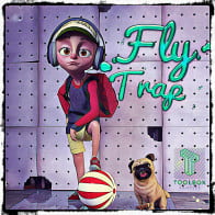 Fly Trap product image