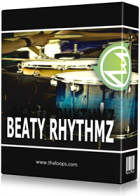 Beaty Rhythmz product image