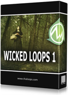 Wicked Loops 1 product image