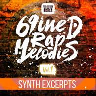 69NINED RAP Melodies Vol.1 SYNTH Excerpts product image