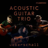 Acoustic Guitar Trio product image