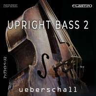Upright Bass 2 product image