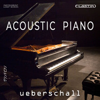 Acoustic Piano product image