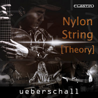 Nylon String Theory product image