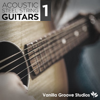 Acoustic Steel String Guitars Vol 1 product image