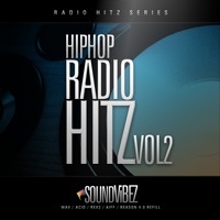 Hip Hop Radio Hitz Vol.2 product image