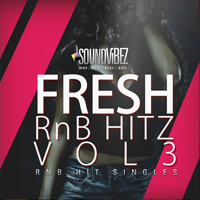 Fresh RnB Hitz Vol.3 product image