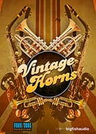 Vintage Horns Horns Instrument