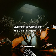 Afternight Melodic Techno product image