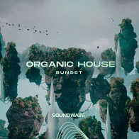 Organic House Sunset product image
