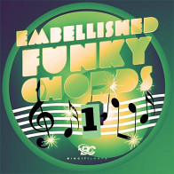 Embellished Funky Chords product image